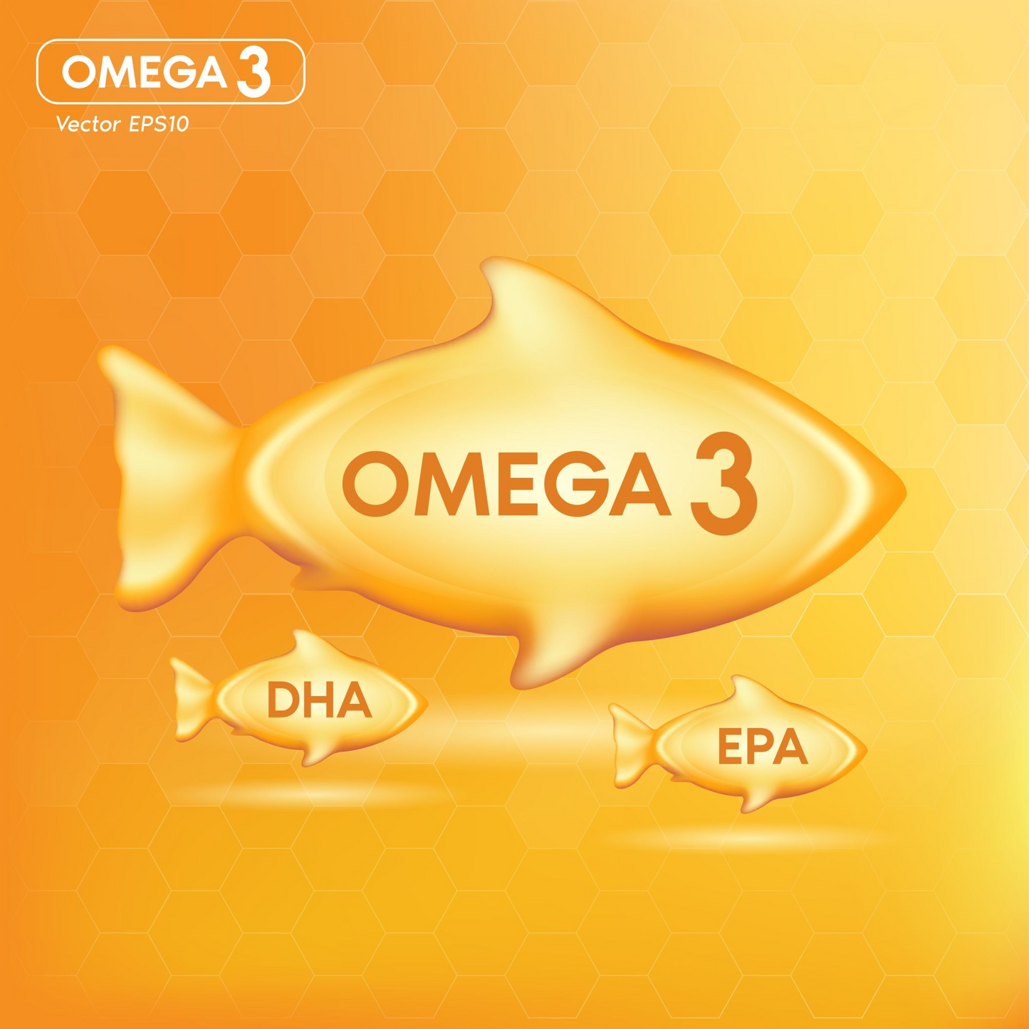 Dr. Gutman's® Best Omega-3 Fish Oil for Heart Health & Joint Support, EPA & DHA, 60 Rapid Release, Burpless Softgels formulated from pelagic Fish Oil in Pristine Ocean Waters